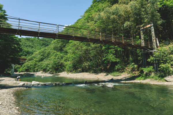 上野村のキレイな川